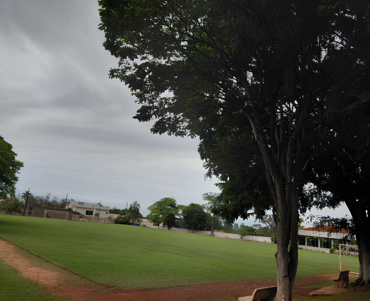 campos (1)